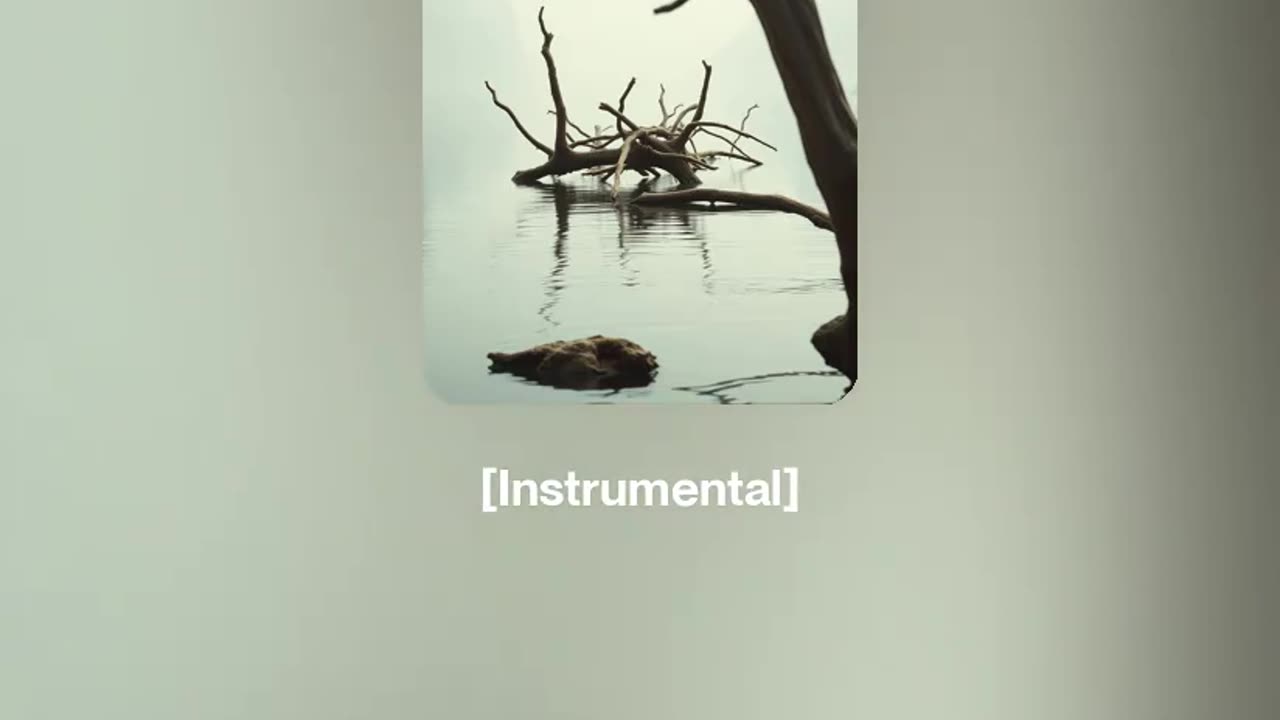 Driftwood