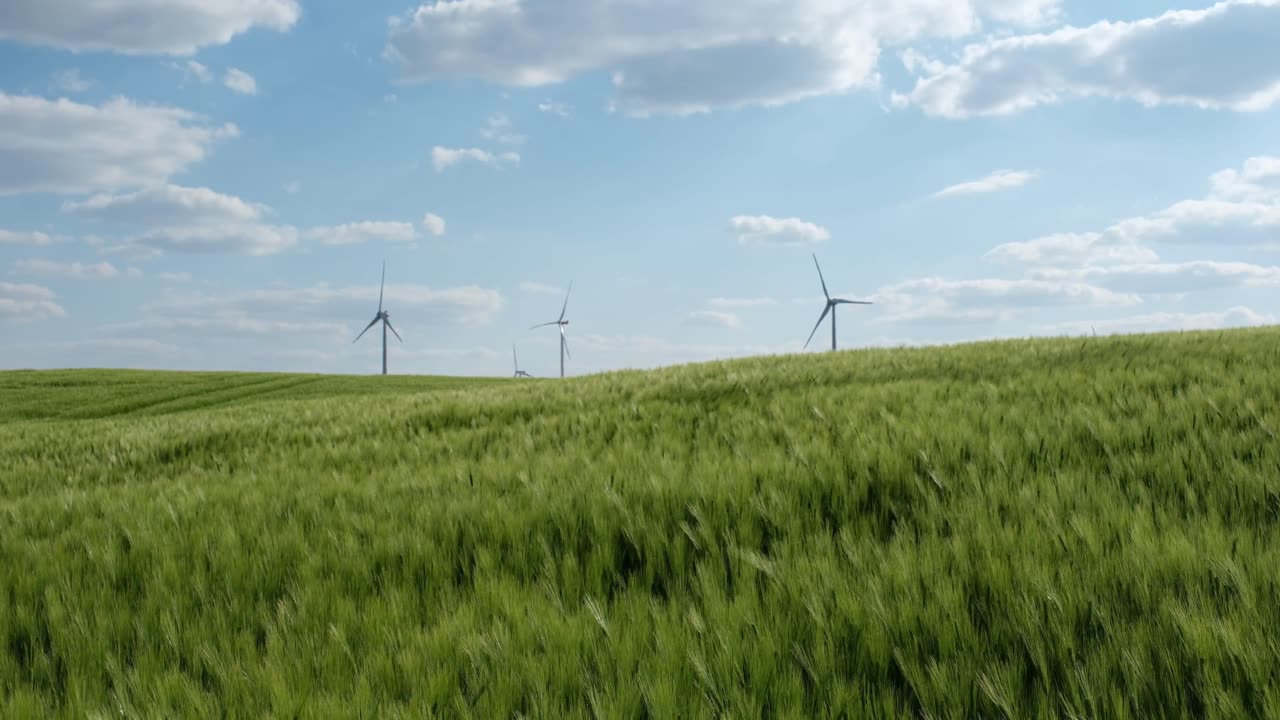 Fields [Provia]