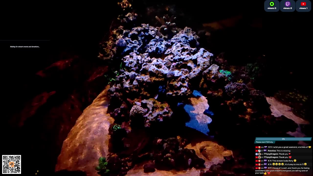 24/7 Real Live Reef Stream