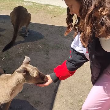 Ha at wildlife park in Australia