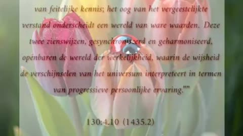 Geharmoniseerde Visies