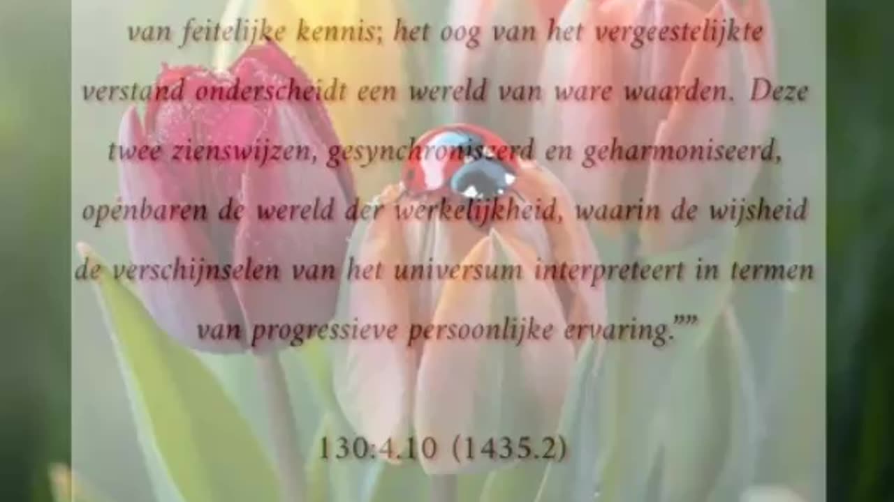 Geharmoniseerde Visies