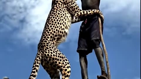 Primitive Technology