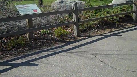 still hanging at detroit zoo with grandkids