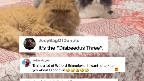 Diabetus