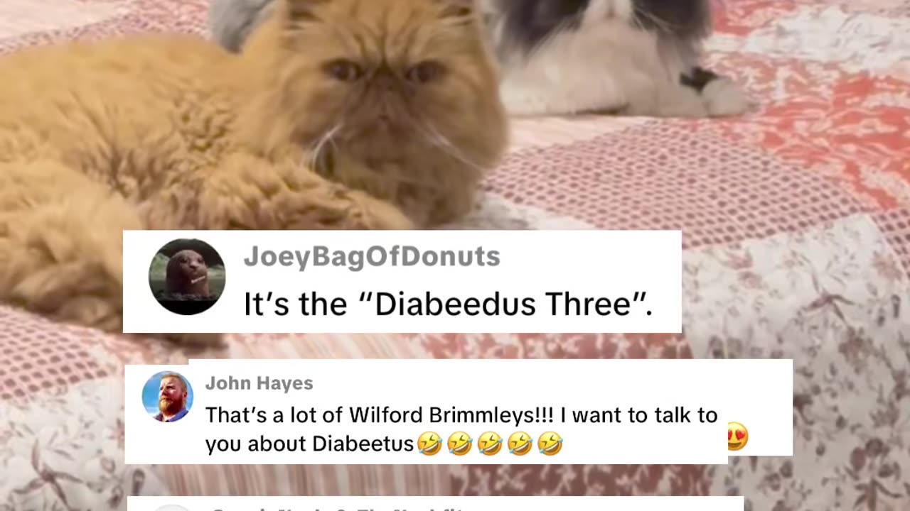 Diabetus