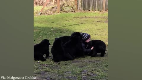 When your dog is the most patient big brother