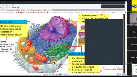 VONEX SEMESTRAL 2024 | Semana 01 | Biología