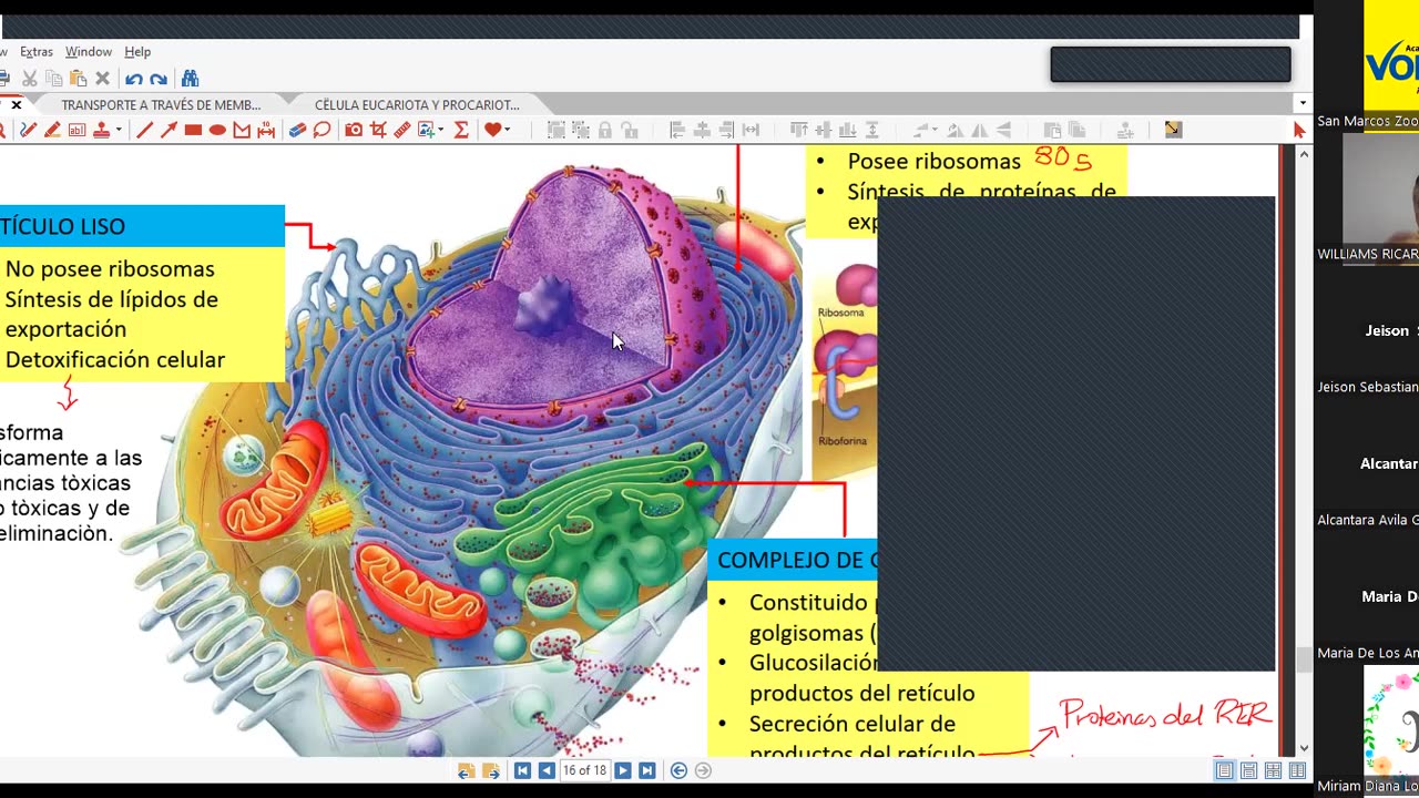 VONEX SEMESTRAL 2024 | Semana 01 | Biología