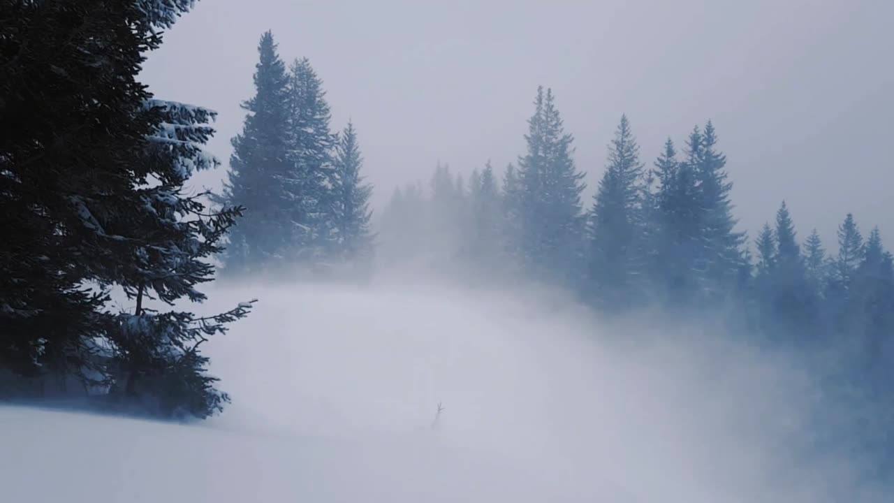 Howling Wind and Falling Snow | Winter Storm ASMR for Deep Sleep