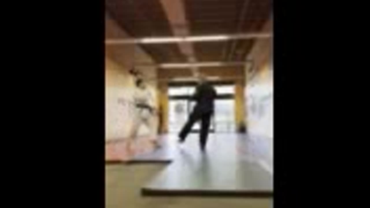 Tong Hap Kwan Hoshinsul Kicking Drill
