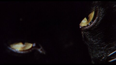 The Uncanny-Peter Cushing, Ray Milland-1977 IMDB 5.7/10