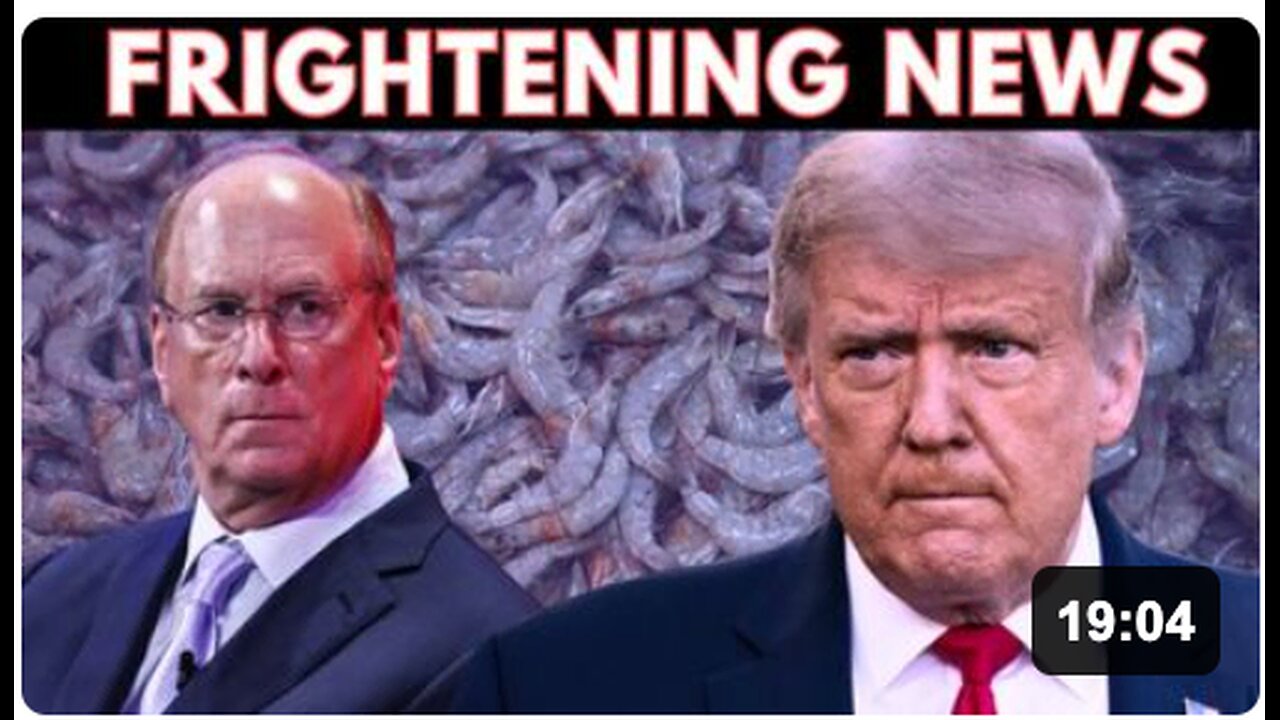 🚨 BlackRock Takes Over the WEF - Radioactive Shrimp on Your Dinner Plate - Towns Underwater