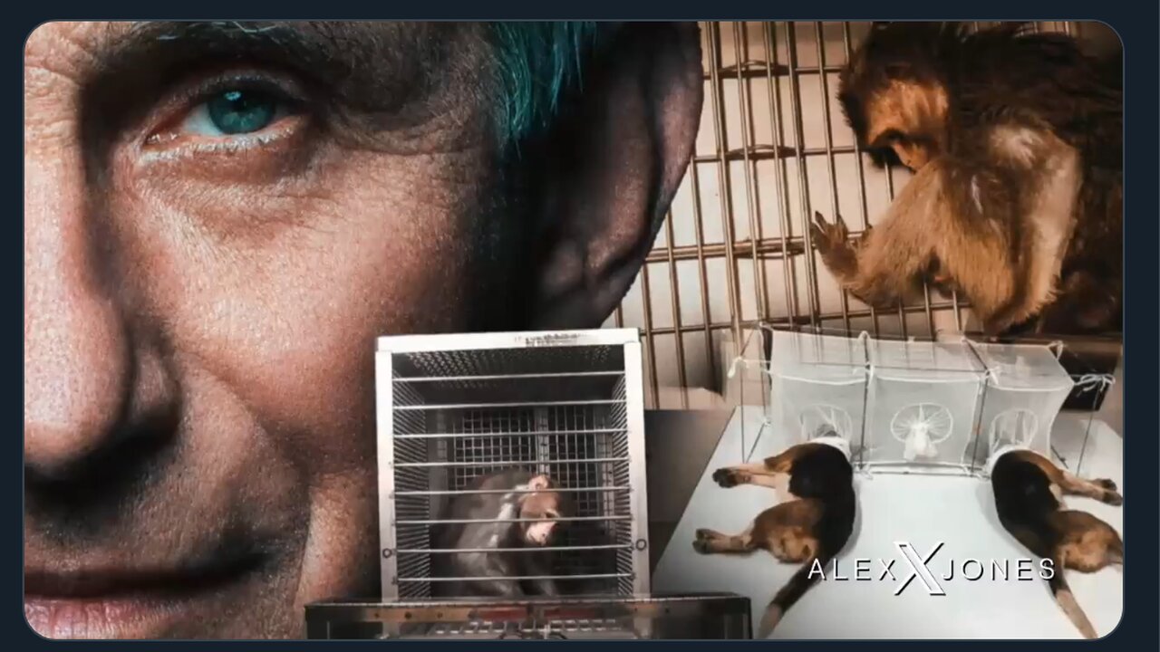 WARNING- Viewer Discretion Is Advised!