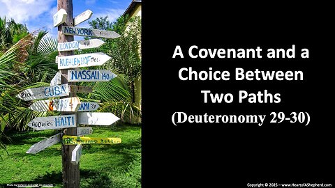 A Covenant and a Choice Between Two Paths (Deuteronomy 29-30) from www.HeartofAShepherd.com.