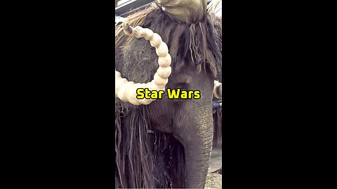 Mardji the Bantha 🐘👽🌌