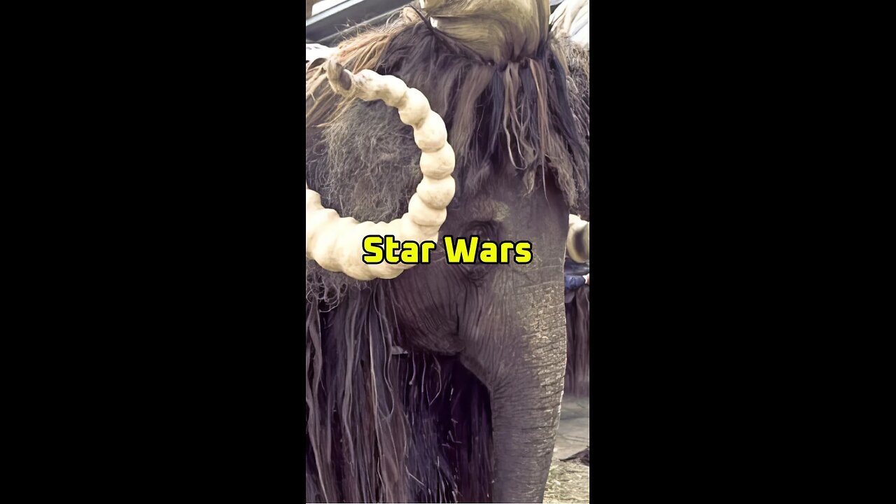 Mardji the Bantha 🐘👽🌌