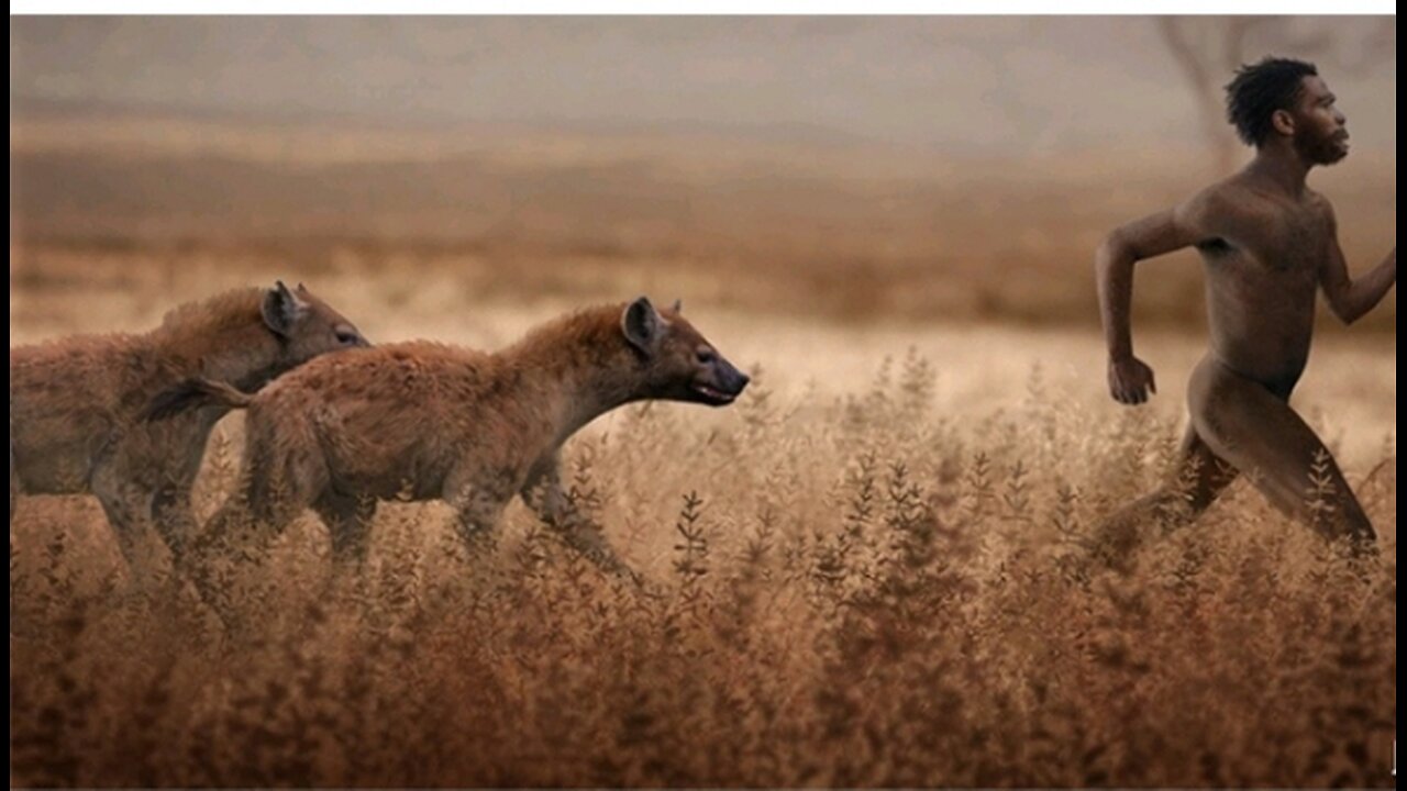 Spotted HYENA!! Misunderstood!!