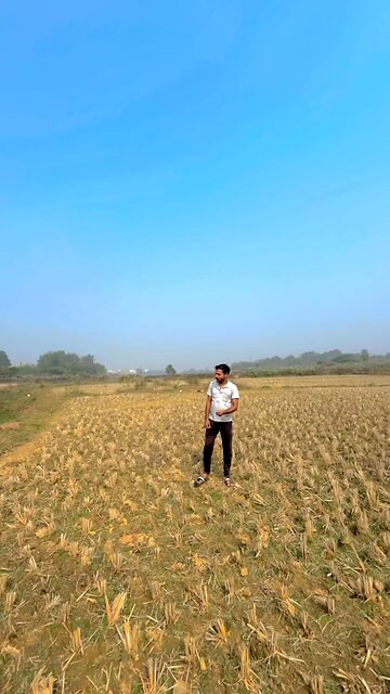 tupuru tapuru sarajamana