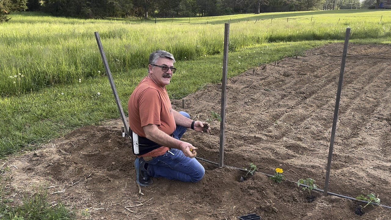 Garden update!