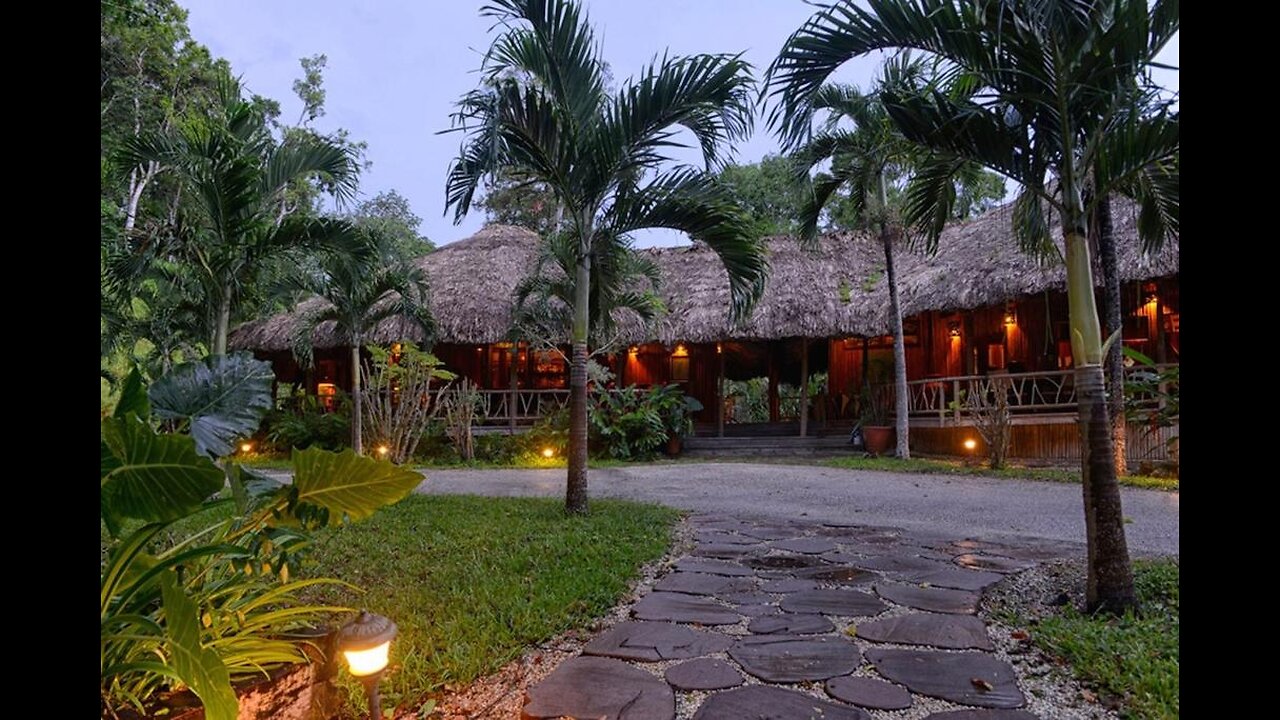 Chan Chic, January 1994