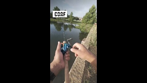 YES, caught Bass on ultralight baitcasting gear! #fishing #bassfishing #ultralightfishing