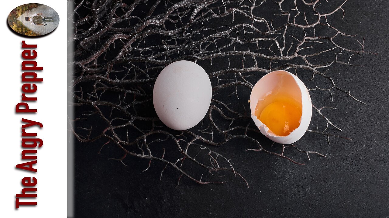 Eggs Warning! Watch Out For This...