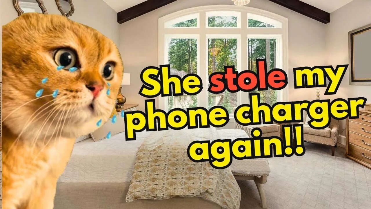 When someone steals your cell phone charger (cat memes) (Ep.11)