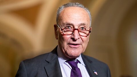 CHUCK SCHUMER SUCKS!1