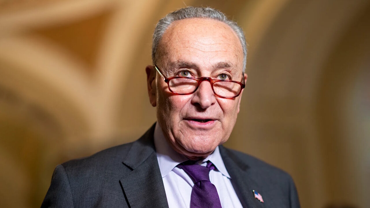 CHUCK SCHUMER SUCKS!1