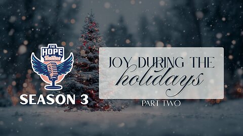 Joy in the Holidays! Part Two
