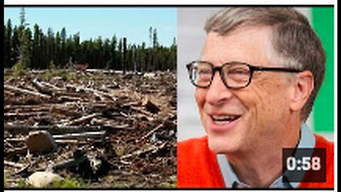 "Bill Gates Advocates for Forest Reduction and Tree Burial"
