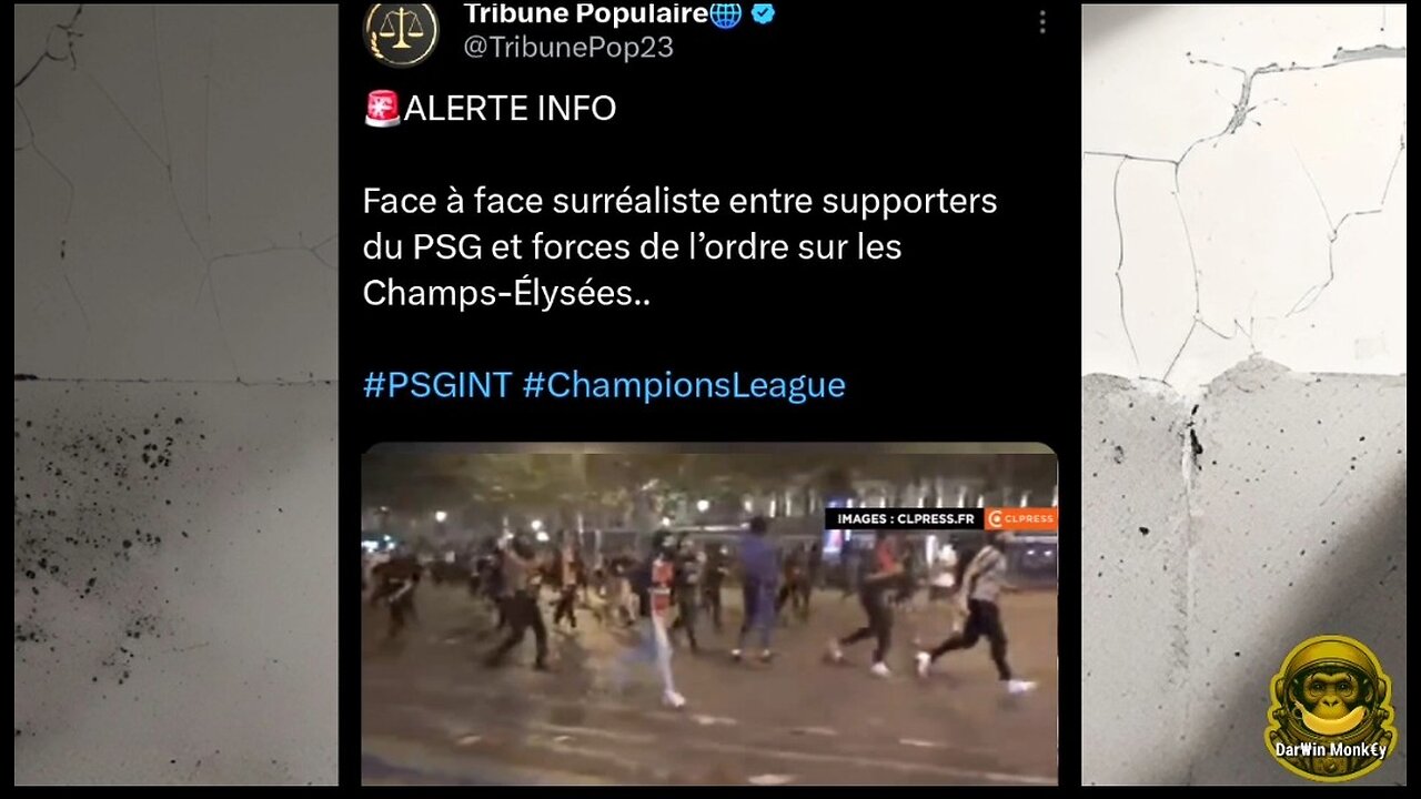 Le Monde est Fou 🌐💣🚨🔥💥