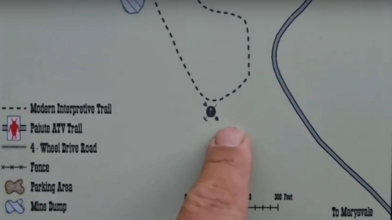 Treasure Hunting: Searching For Rare Gems