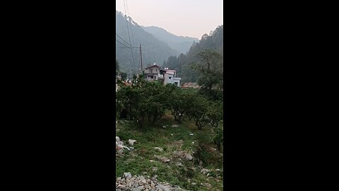 kainchi dham darshan