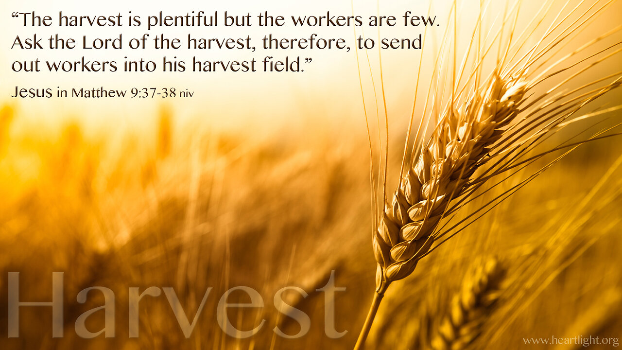 Verse Of The Day : Matthew 9:37-38 The Harvest Is Great, But The Workers Are Few.