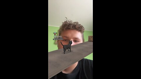Trying the Viral TikTok Mask Challenge 😂