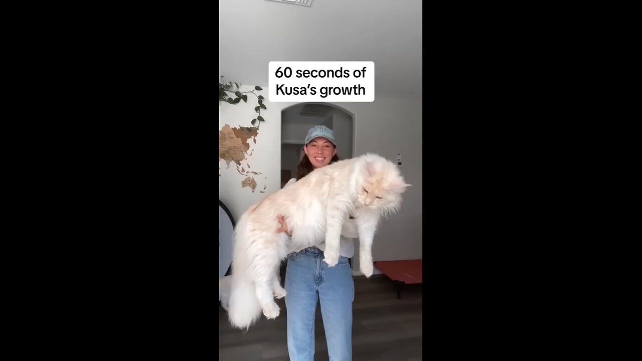 please like and support🥰