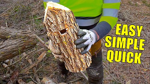 How to Make a Birdhouse with a Chainsaw in Under 5 Minutes
