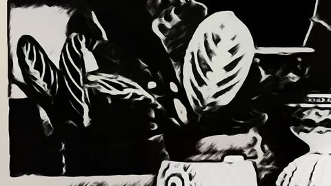 Plants Breathing Stretching and Growing