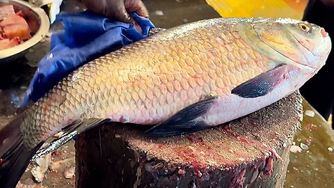 Amazing Fish cutting skill 07| you must watch