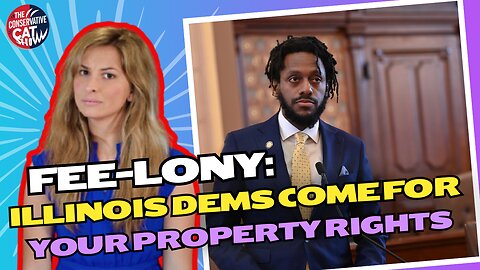 Fee-lony: Illinois Dems Come for Your Property Rights