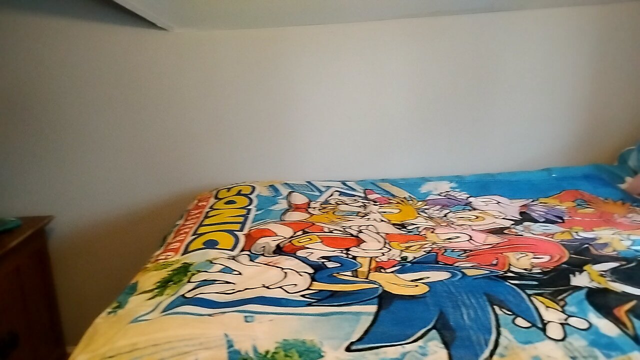 my Sonic plush collection Plus other plushies besides Sonic