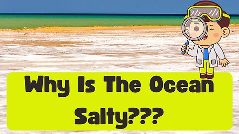 Why Is Ocean Water Salty? Dead Sea..Barrier Reef..Bolivia Flat Salt..Pink Flamingo