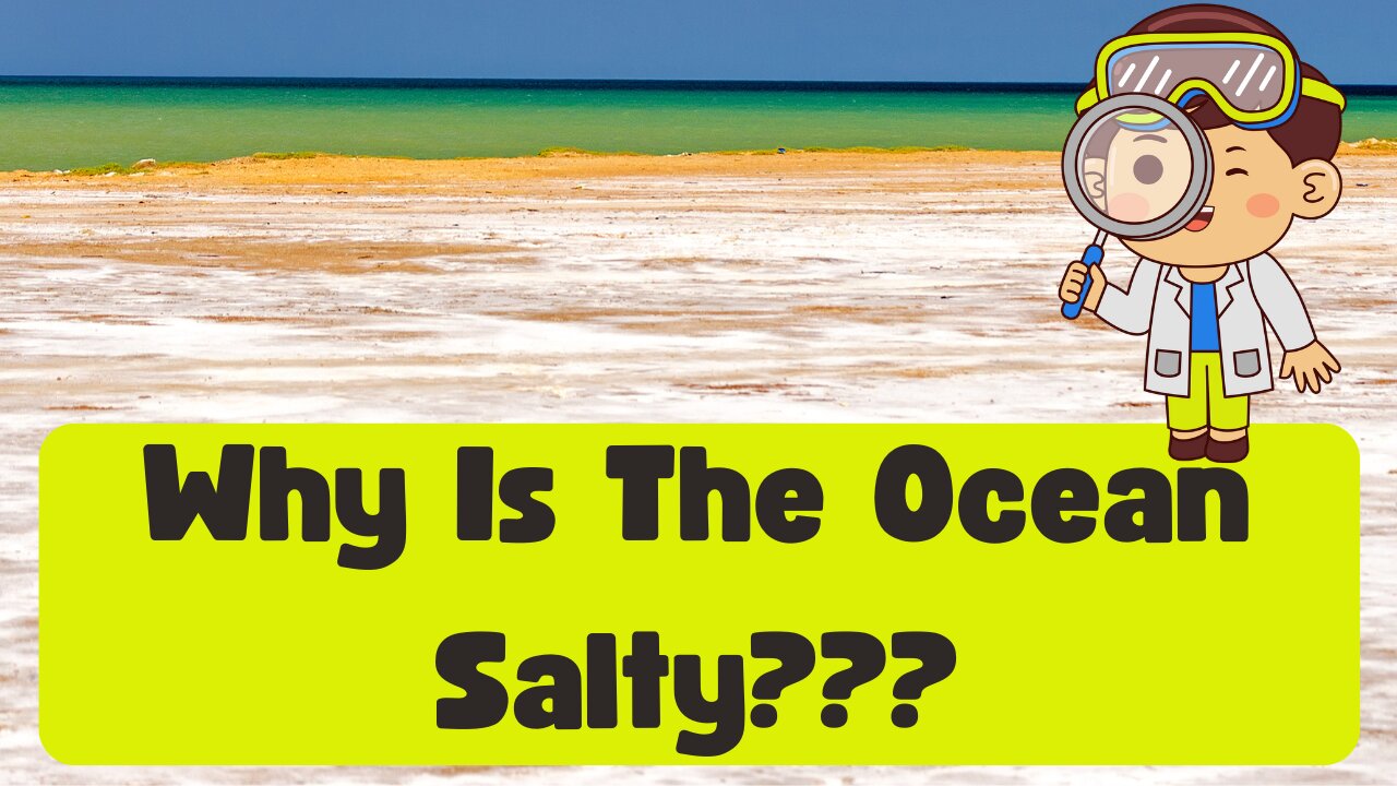 Why Is Ocean Water Salty? Dead Sea..Barrier Reef..Bolivia Flat Salt..Pink Flamingo