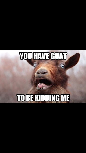 MY [RACIST] 🐐 PET GOAT