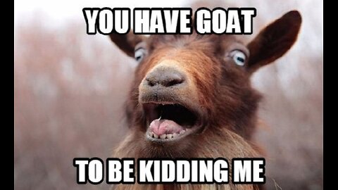 MY [RACIST] 🐐 PET GOAT