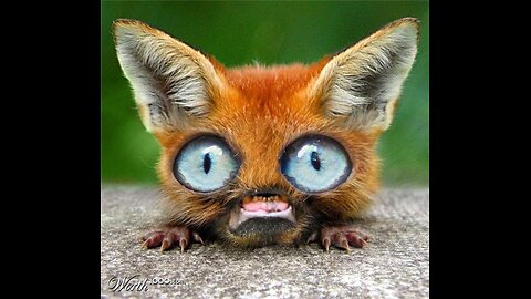 TRUMP STILL SPRAYING US LIKE A SUCKER