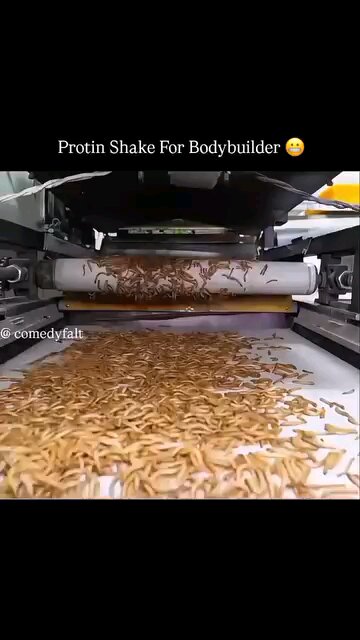 Never drink this protein powder drink