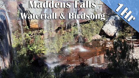 1 Hour of Waterfall & Birdsong Ambience | Deep Sleep, Study & Relaxation Sounds